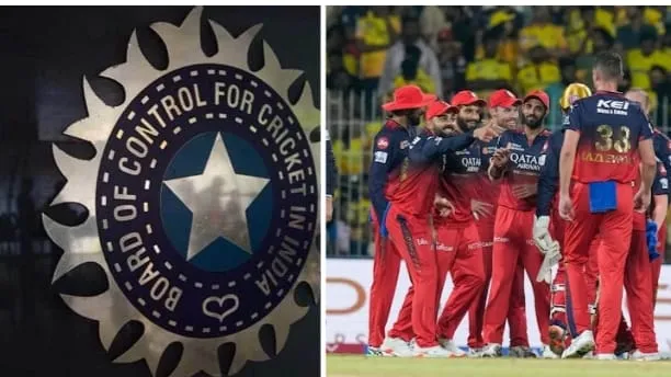 IPL 2025 temporary replacement rule